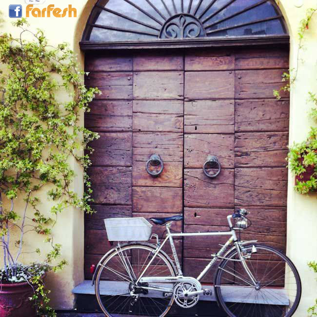 ����� ����