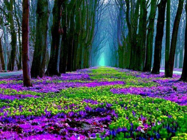 ���� ����