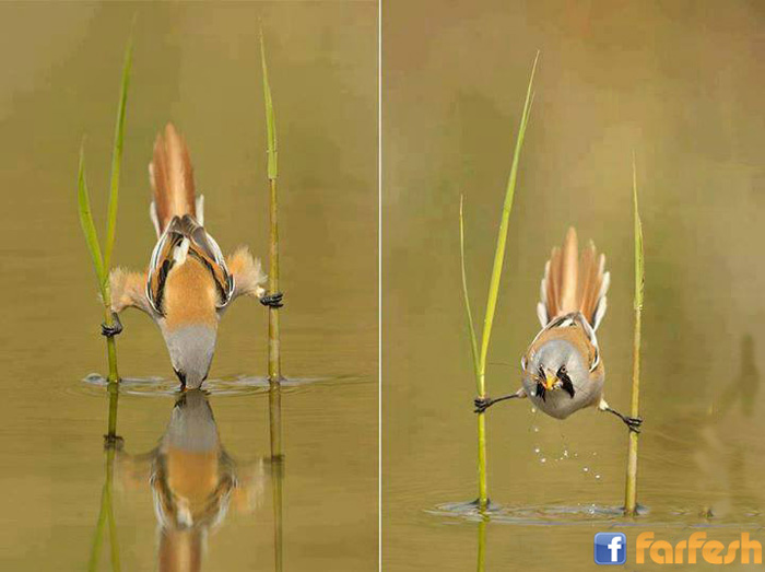 ���� ����� ����� ���� ������ ������ ������