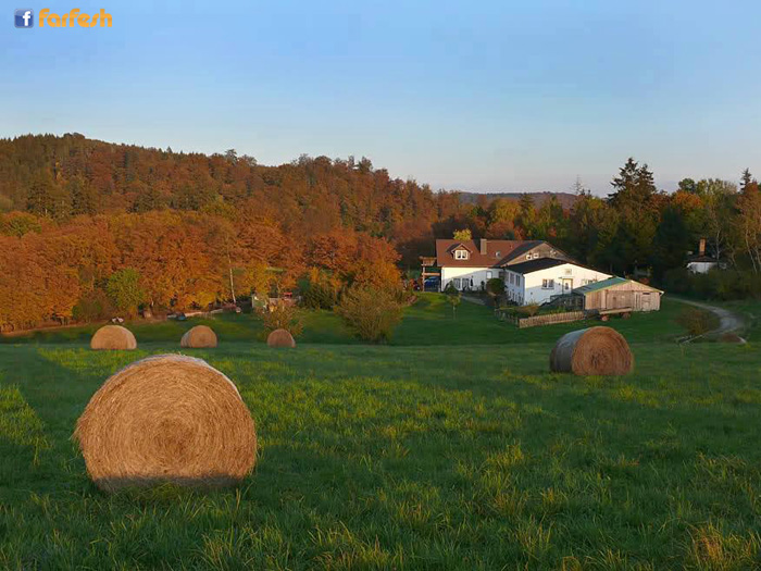 �� ������ ����� ��������� ������� �� �� ����� �