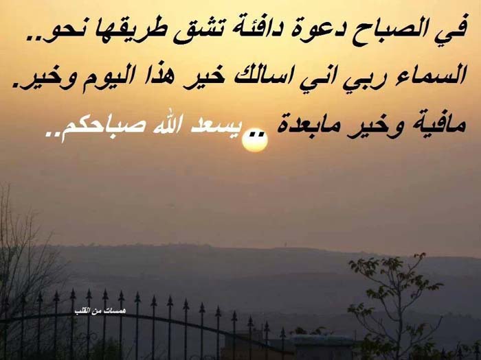 ���� ����� ������ 