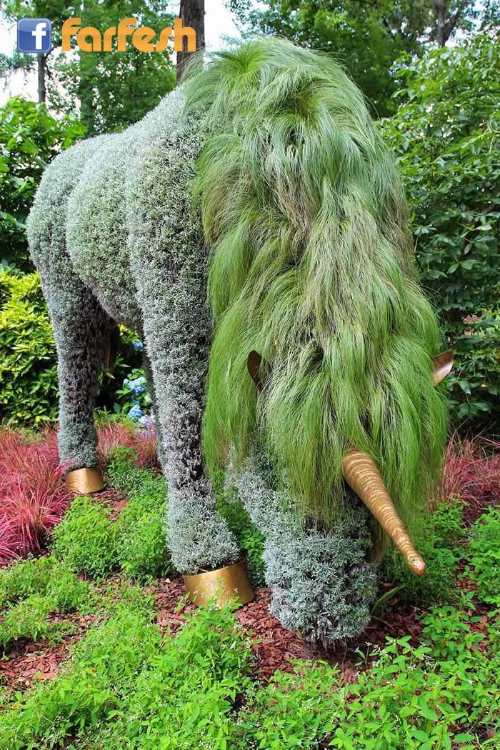 ����� ������� ������� �����