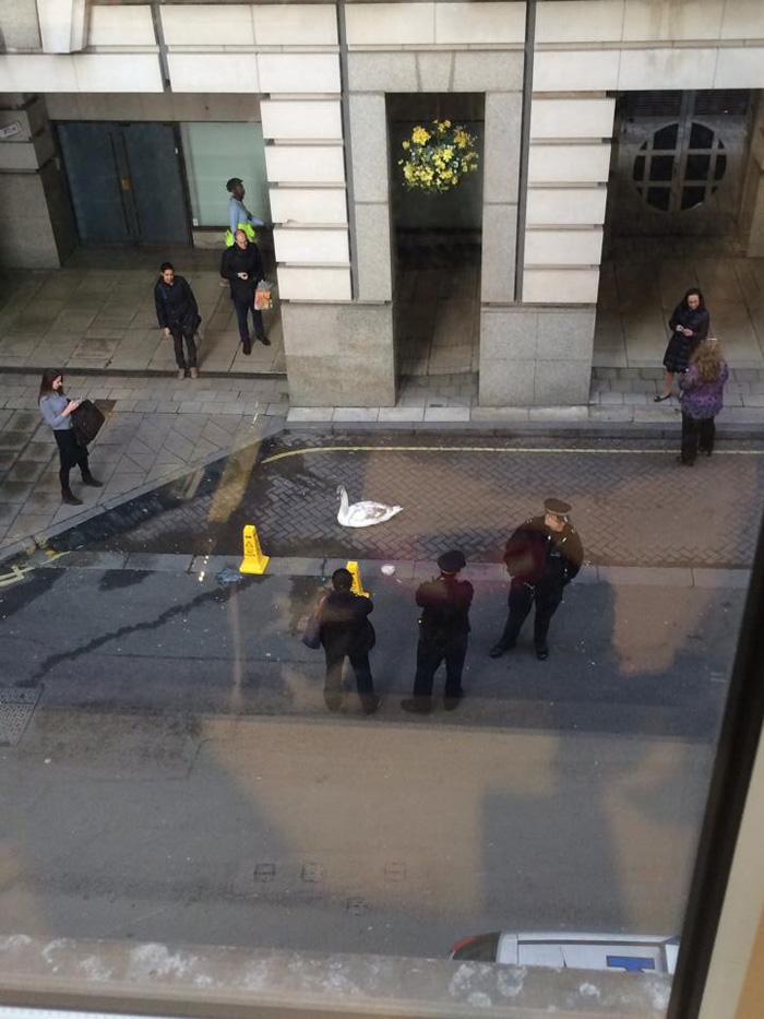 ���� �������� ������ ������ ���� ���� ����