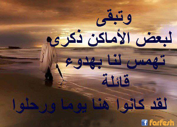 ����� ���� ������� ����