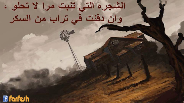 ������ ���� ���� ��� �� ���� ��� ���� �� ���� �� �����