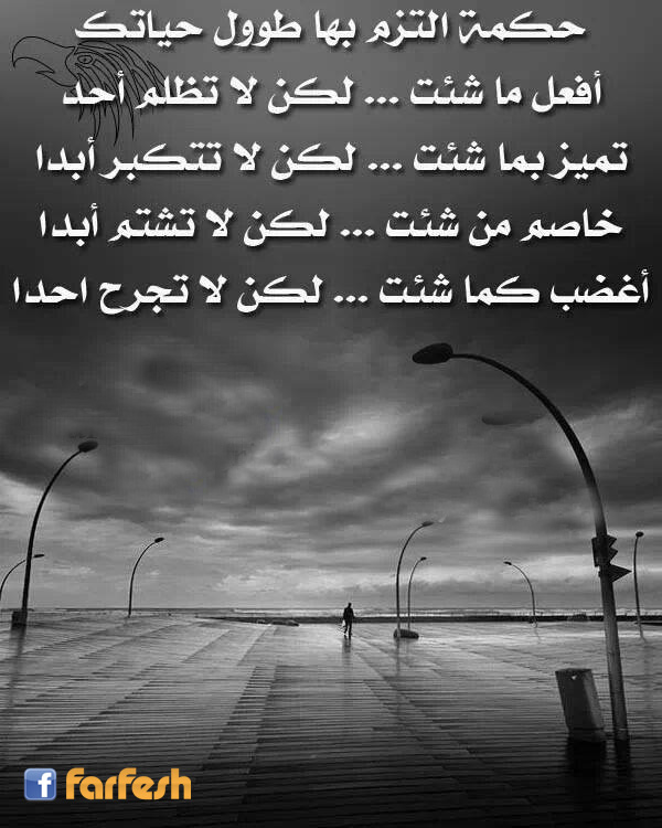 ���� ����� ��� ���� �����