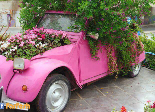 ������� ����