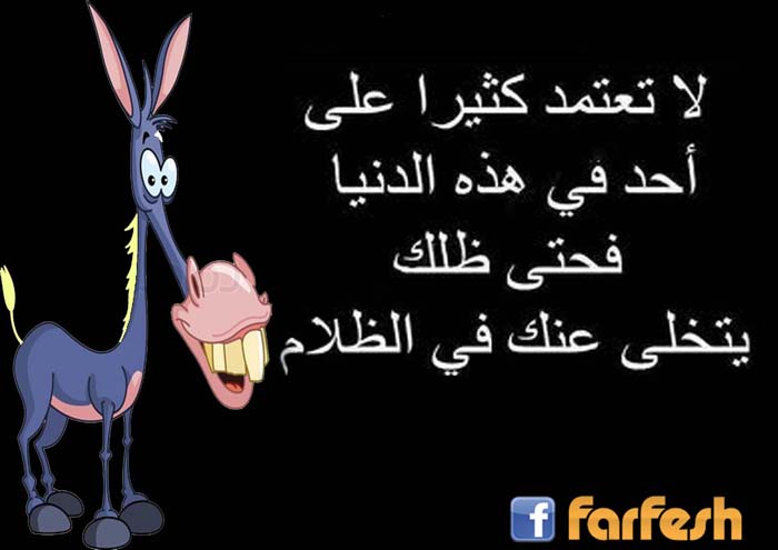 ����� .. �� ����� ����� ��� ��� �� ��� ������...