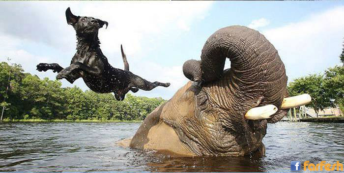 ����� ��� ��� ����:-)