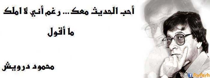 ��� ���� ������ ���