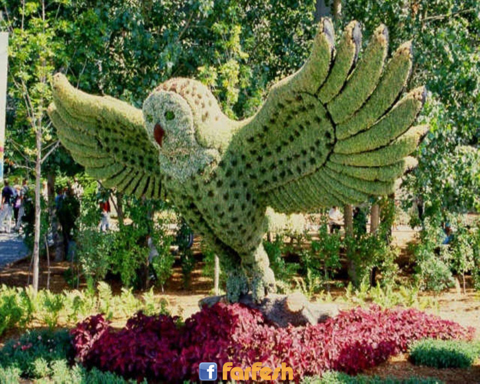 ���� ������ ������ �� �����