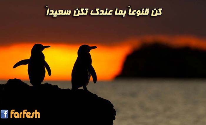 �� ������ ��� ���� ��� ������