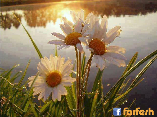 ���� ���� ���� ���� ������