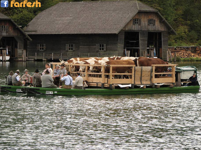 ���� �������-����������