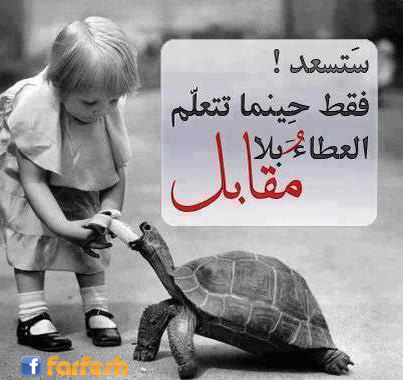 ���� ����� �� �����