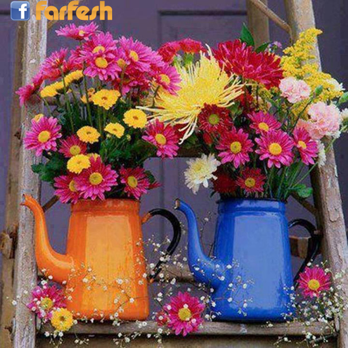 ����� ����� �����