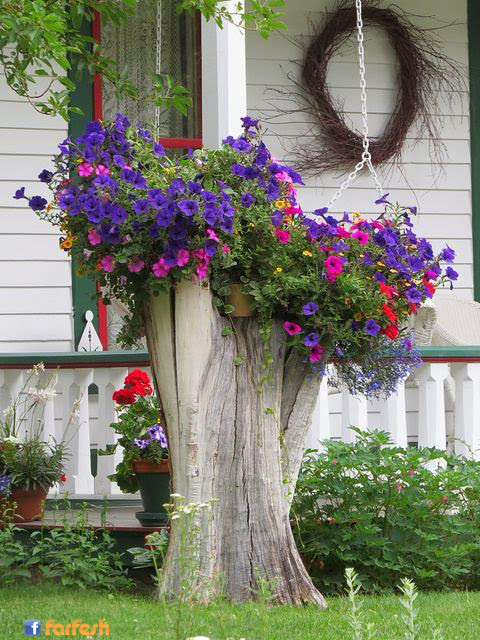 ����� ������ �� �� ����