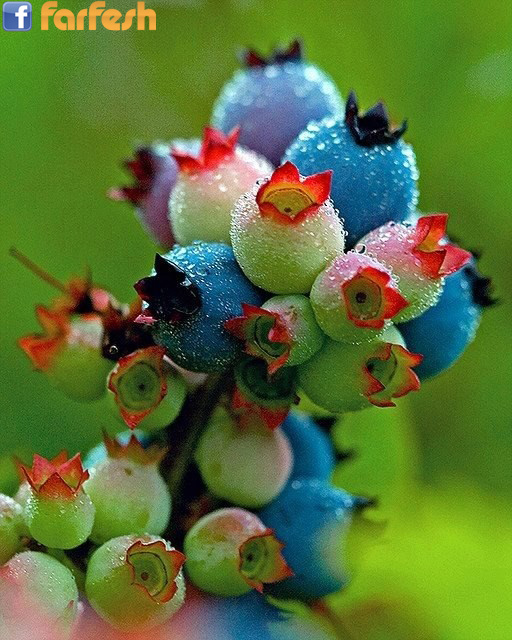 ������ ��� �� �����