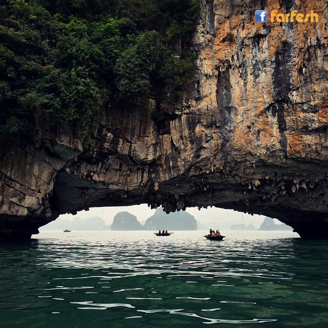 ����� ���� �� ��� ������ 