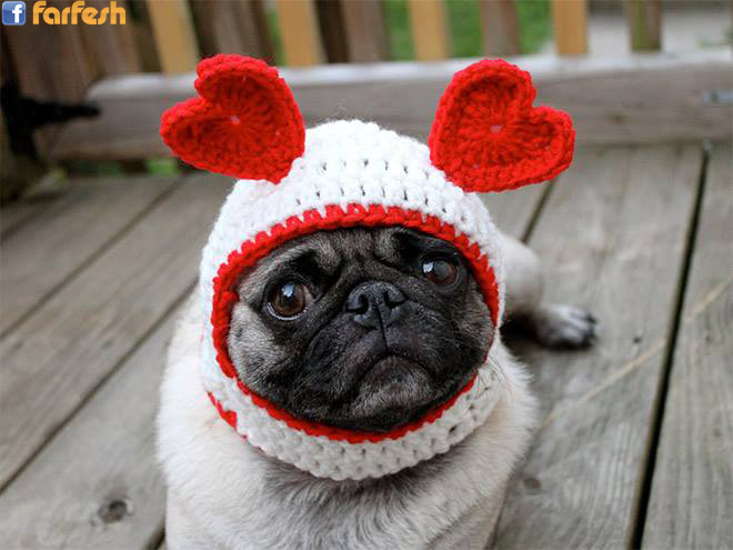 �� ��� ��� ����� ����