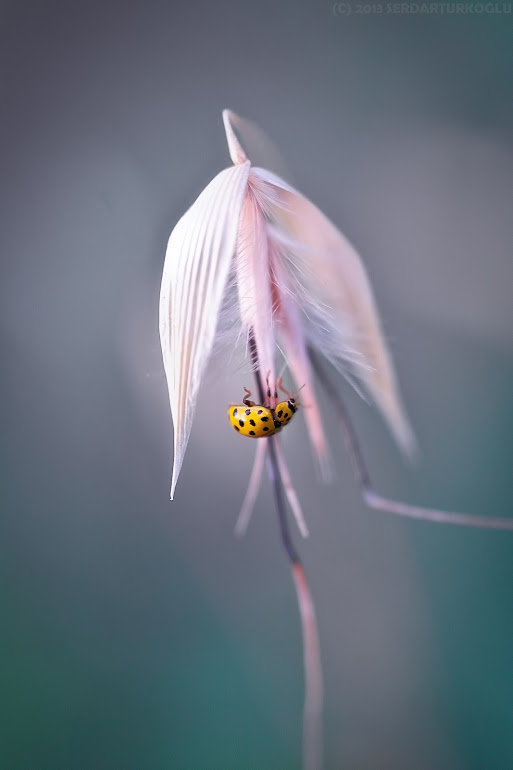 ��� �� �� ���� ����