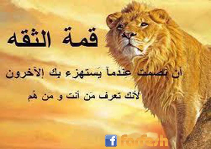 ��� ��� �����