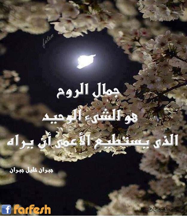 ��� ���� ���� ���� �� ���� �����