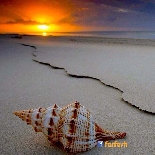 ��� ���� ����� �� �� ��� ���� ����� ������ ����� 