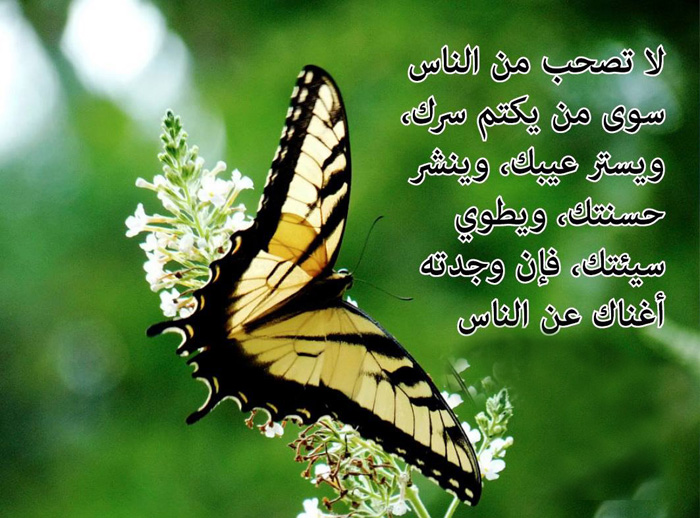 ���� ���� ��� ������ ��� ��� �����