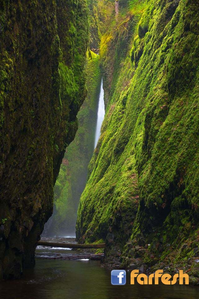 ����� ���� �� ���� �������