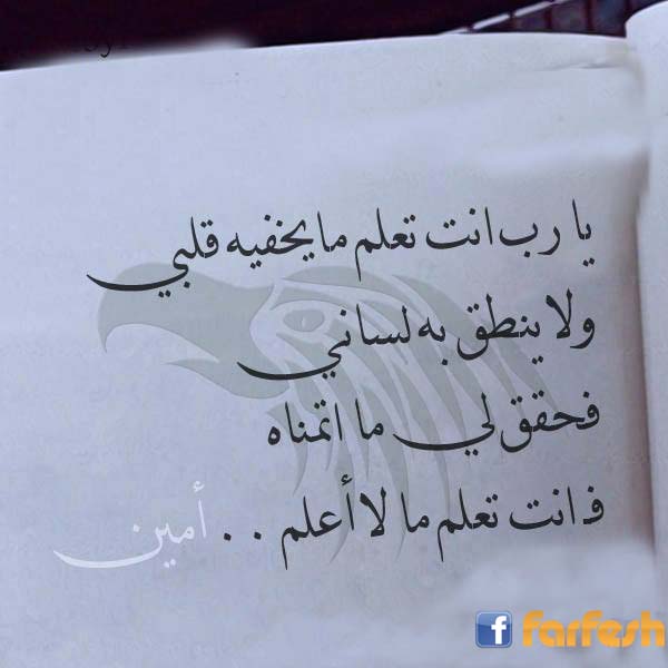 �� �� ��� ���� �� ����� ���� ��� ���� �� �����