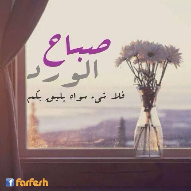 ���� ����� 