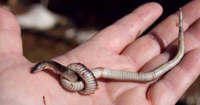 ����� ���� �������� ������ ���� ����� ��� ���� ��� ����� ������� ����� �� ����� ��� ����