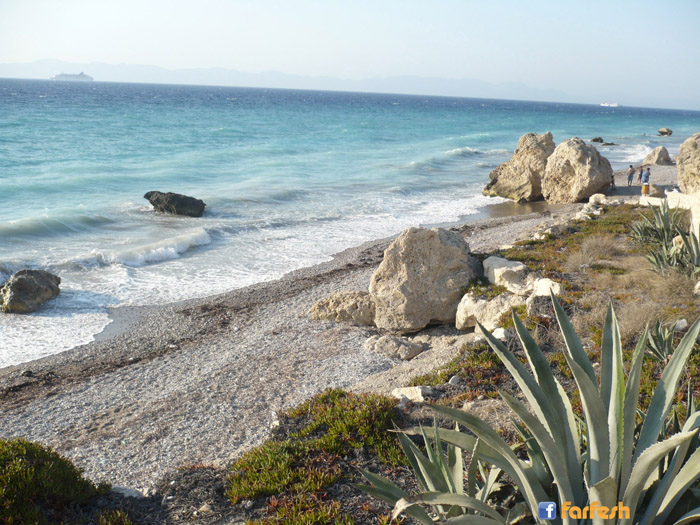 ��� ����� �����