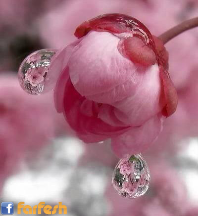 �� ����  ����� �� �����