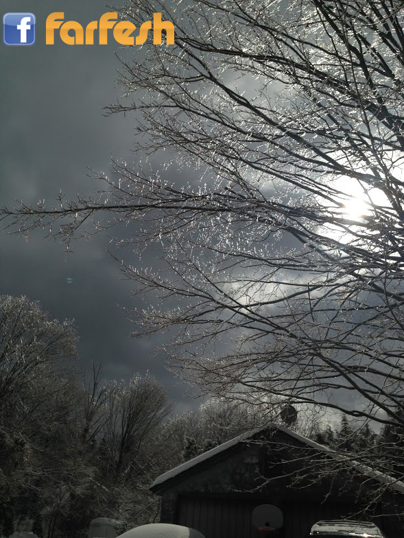 ���� ������