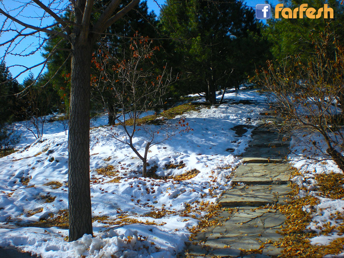 ������ ����� �� ��� ������