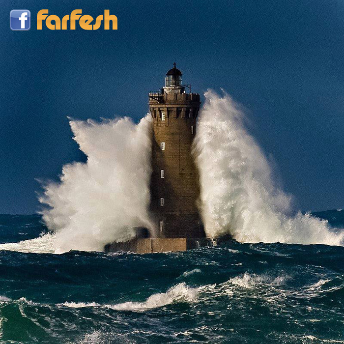 ������ ������� ���� ���� ����