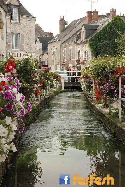 �������� ���� ���ѡ �����