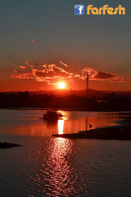 ����� ������ ���� ����� ��� ��� �������