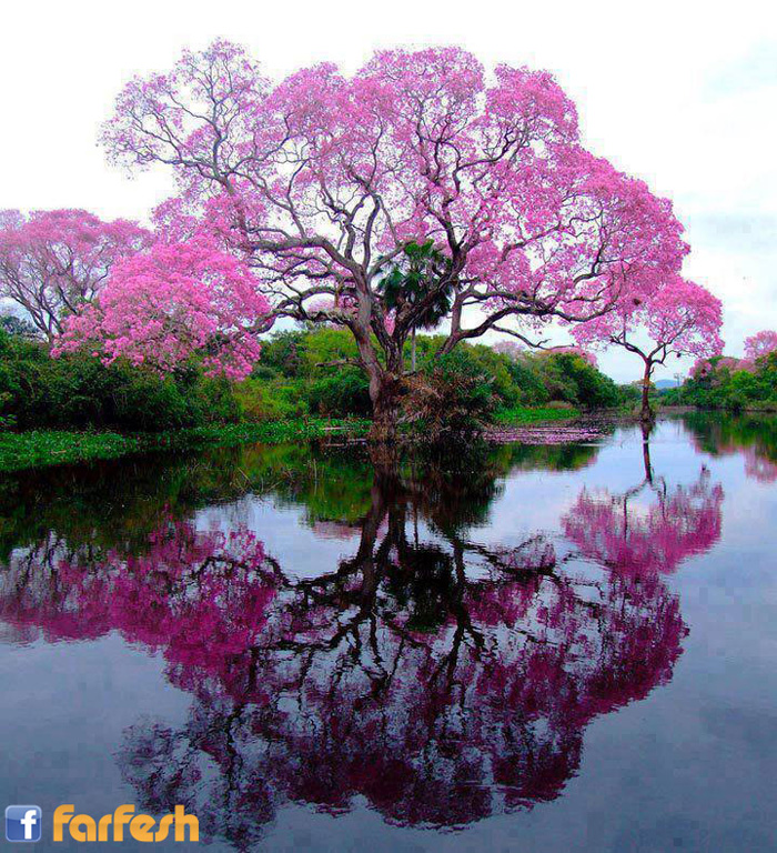 ���� ���� ����� ��� ���� ���