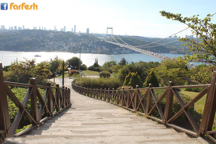 ���� �������� �������������