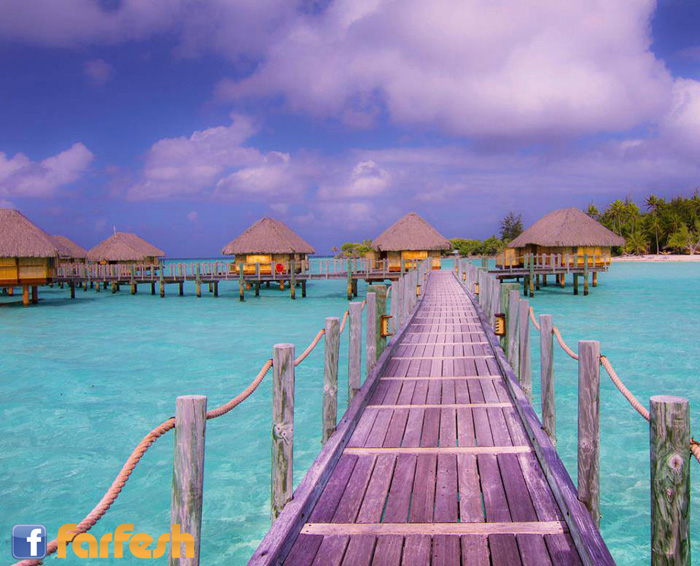 ������ - �������� ��������