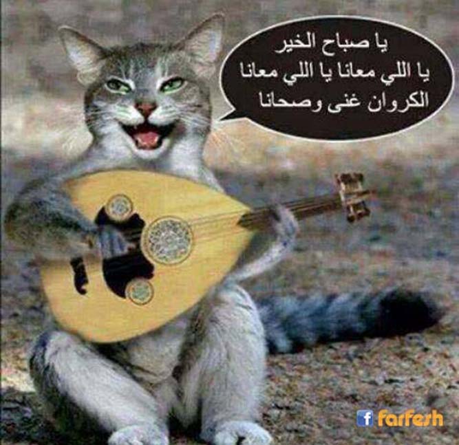 ���� �������