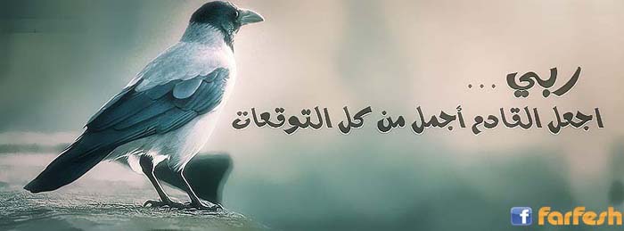 ��� ���� ������ ���� 