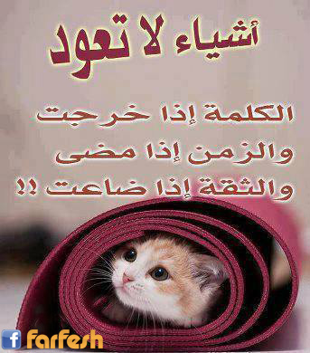 ����� ����� �� ����!!