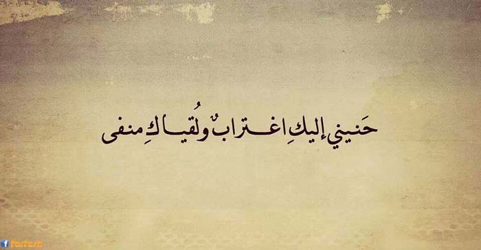 ����� ���� ������ ������ ����