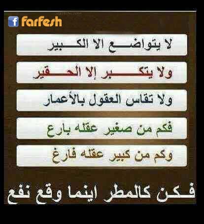 ���� ���� 100 %