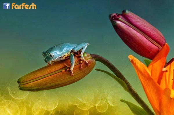 ���� ������� ������� ���� �� ������ ����� ����� �������