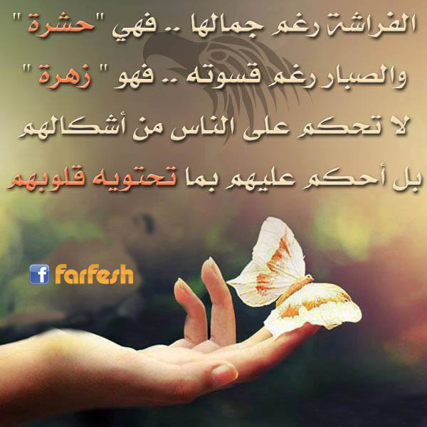 ���� �������